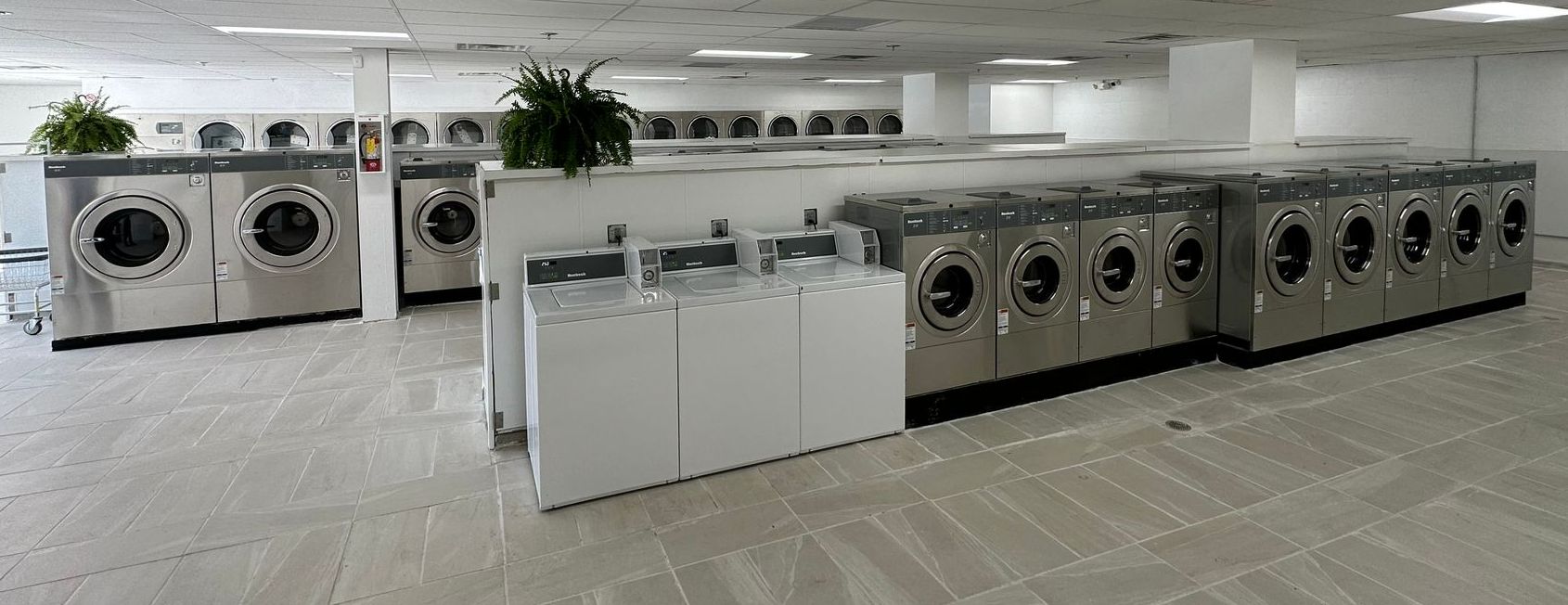 Two rows of front-load washers flank a center island of three white top-load washers, with hanging ferns suspended above the aisle.